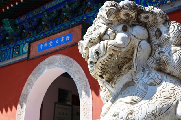 Le temple de Dajue à Pékin, en Chine