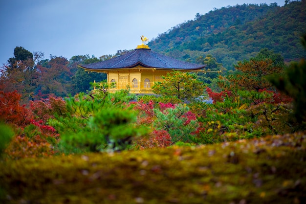 Temple du Pavillon d'Or à Kyoto