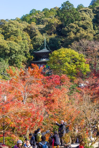 Temple eikando kyoto