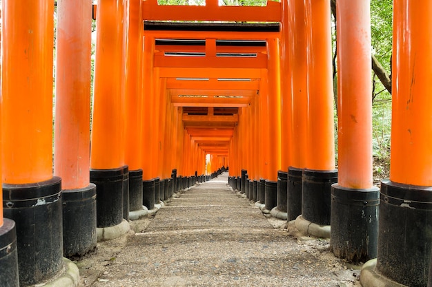 Temple Fushimi Inari Taisha à Kyoto