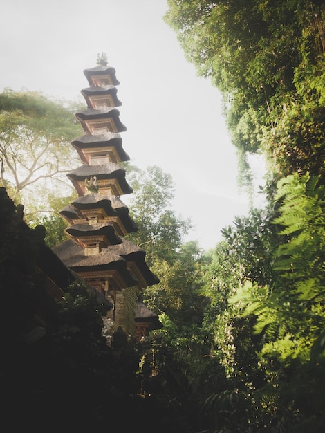 Photo le temple de gunung lebah à ubud bali en indonésie