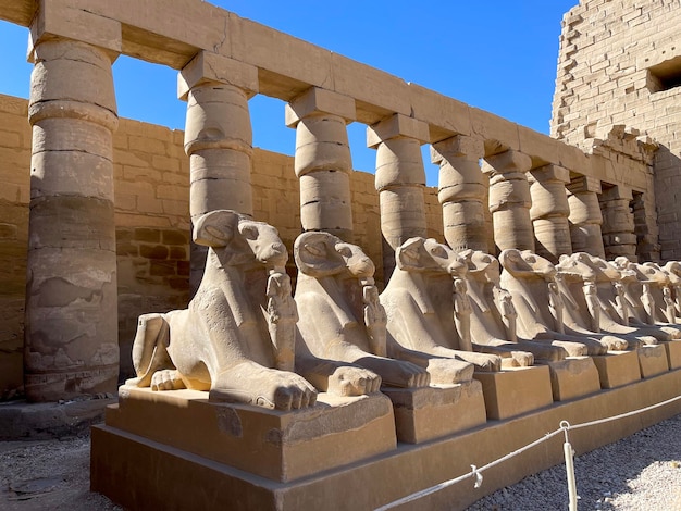 Temple de Karnak, allée de sphinx à tête de bélier