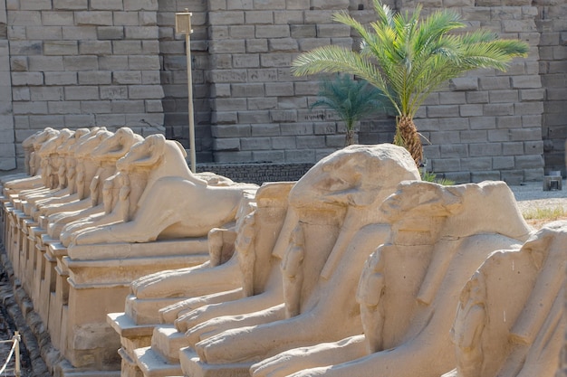 Le temple de Karnak, l'avenue d'art égyptien des sphinx avec la tête d'un bélier, Luxor, en Égypte.