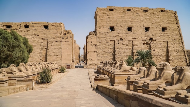 Temple de Karnak à Louxor Egypte