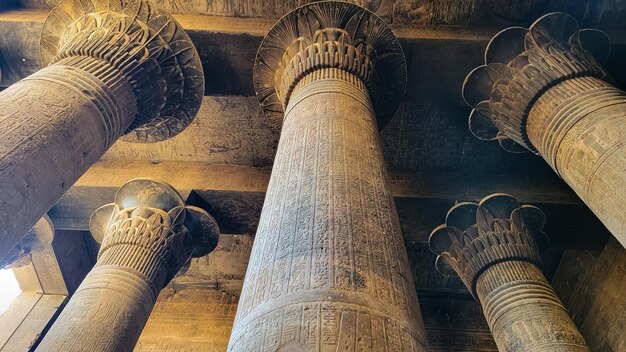 Photo temple de khnoum le temple d'esna dédié au dieu khnoum egypte