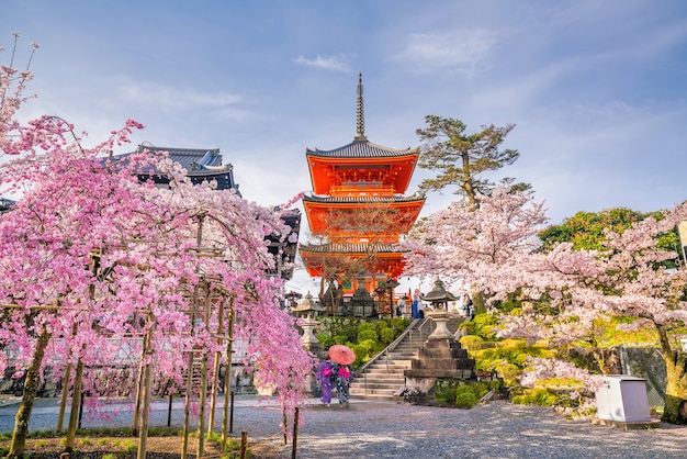 Temple Kiyomizu-dera et saison des cerisiers en fleurs (Sakura) printemps à Kyoto, Japon