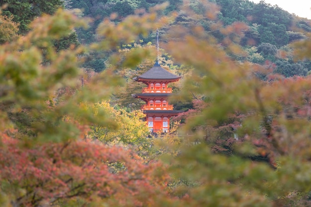 Temple Kiyomizu-dera