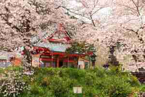 Photo le temple de kotokuji à shizuoka, au japon, au printemps