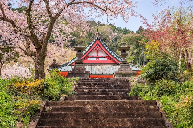 Photo temple kotokuji shizuoka japon