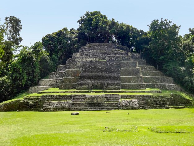 Le temple de Lamanai au Belize