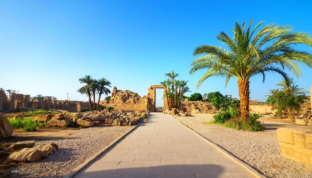 Temple de Louxor Karnak. Le pylône avec ciel bleu