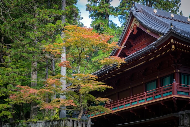 Temple Rinnoji à Nikko