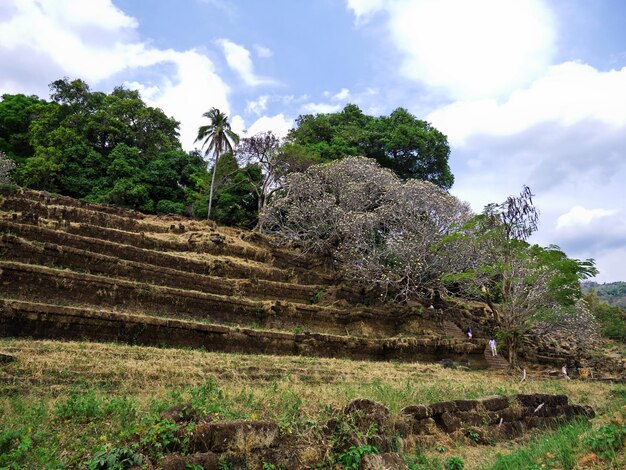 Temple de Vat Phou au Laos