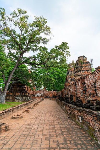 Temple Wat Mahathat dans l'enceinte du parc historique de Sukhothai Site du patrimoine mondial de l'UNESCO en Thaïlande