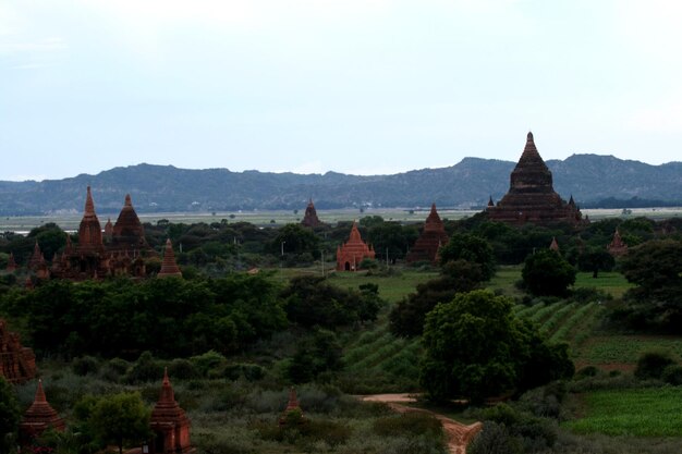 Des temples contre le ciel