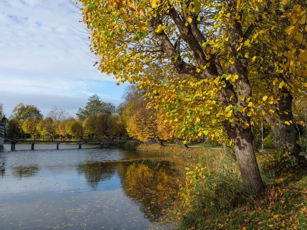 le temps d'automne à Gemen