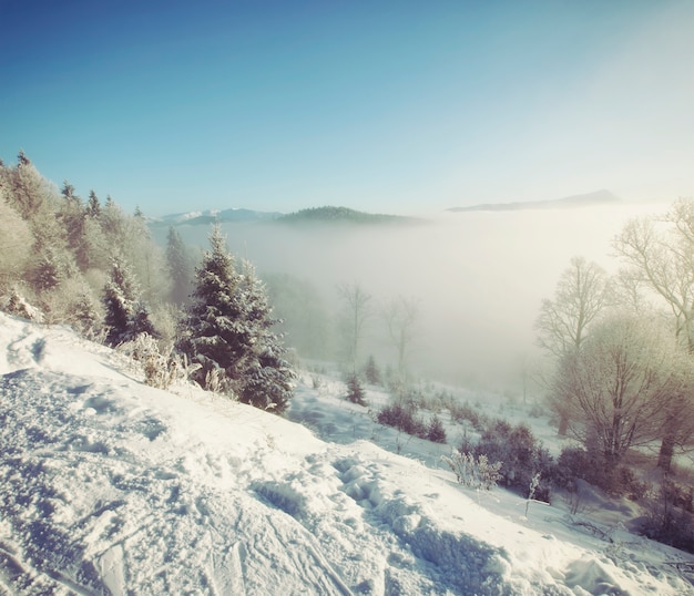 Temps brumeux dans les montagnes le matin