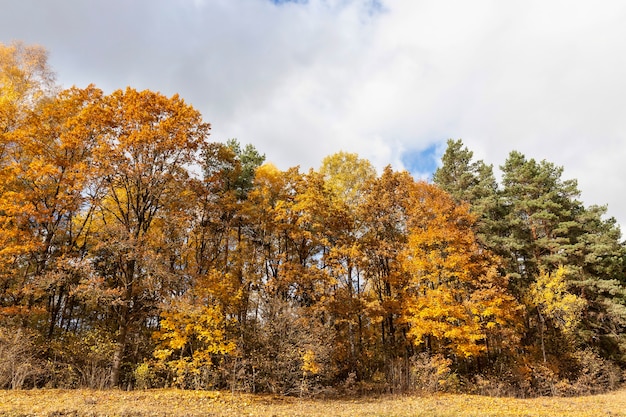 Temps chaud dans le parc en automne, véritable automne pendant la journée