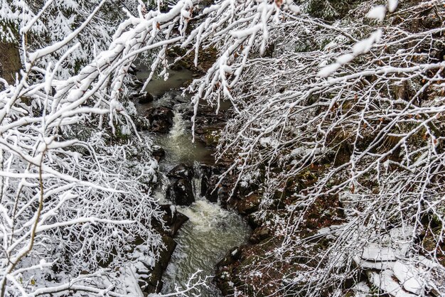 Temps de neige en montagne