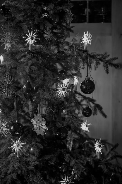 Le temps de Noël dans le jardin