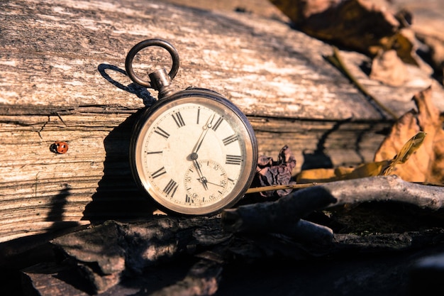 Le temps passe par une montre vintage à l'extérieur du bois et des feuilles