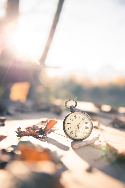 Le temps passe par une montre vintage à l'extérieur du bois et des feuilles