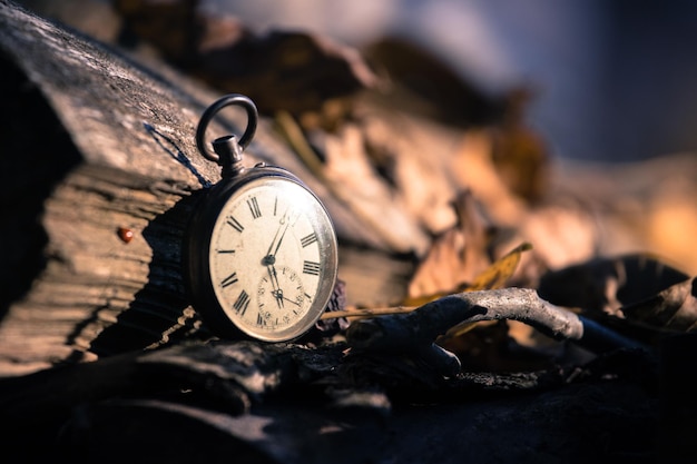 Le temps passe par une montre vintage à l'extérieur du bois et des feuilles