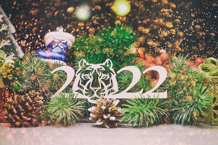 Photo le temps des vacances. bonne année. espace pour le texte. composition de noël. cadre fait de branches de pin, pommes de sapin sur fond de bois vintage rustique.
