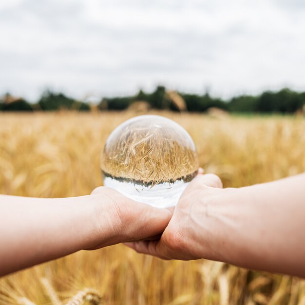 Tenant une boule de cristal sur un champ de blé doré