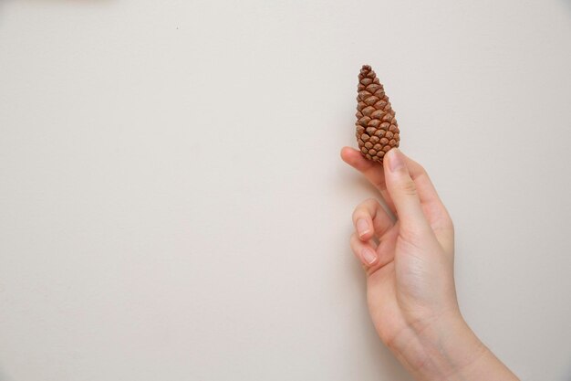 Photo tenir des pommes de pin dans les mains