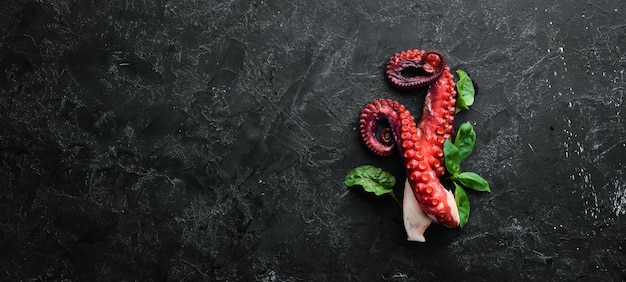 Tentacules de pieuvre bouillies sur une assiette en pierre Fruits de mer Vue de dessus Espace de copie gratuit