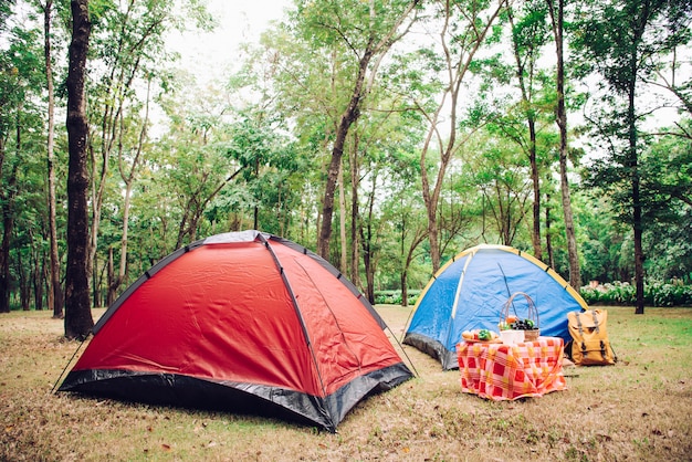 Tente de camping et accessoires de pique-nique sous l'arbre au lever du soleil du matin.