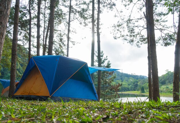 Une tente de camping sur l'herbe