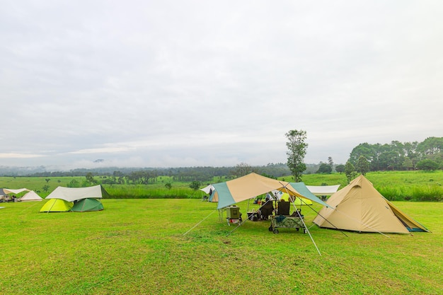 tente de camping nature avec arbre sur prairie d'herbe verte et montagne dans le jardin de la jungle