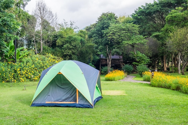 Tente de camping relaxante sur la pelouse verte de l'arrière-cour