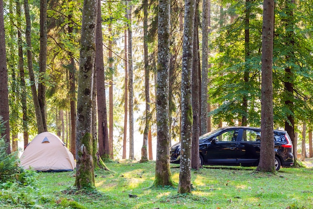 Tente de camping et une voiture dans la forêt verte au printemps matin ensoleillé avec brume brume parmi les arbres. Concept de loisirs.