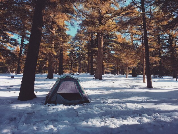 Photo une tente sur un champ couvert de neige dans la forêt