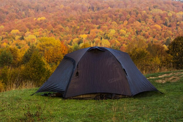 Tente dans la forêt d'automne jaune