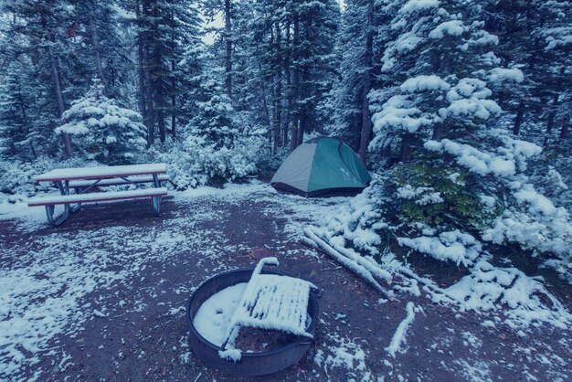 Tente dans la forêt d'hiver