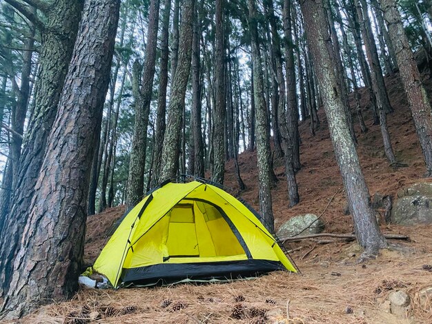 Photo une tente dans la forêt