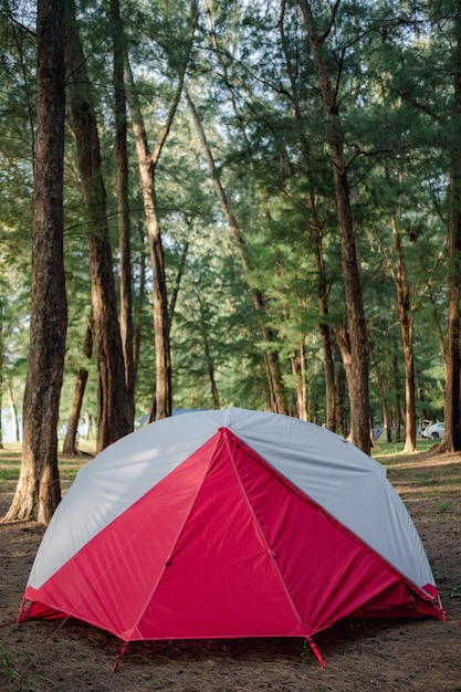 Une tente dans la forêt