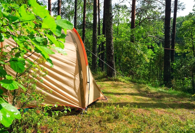 Tente dans une forêt