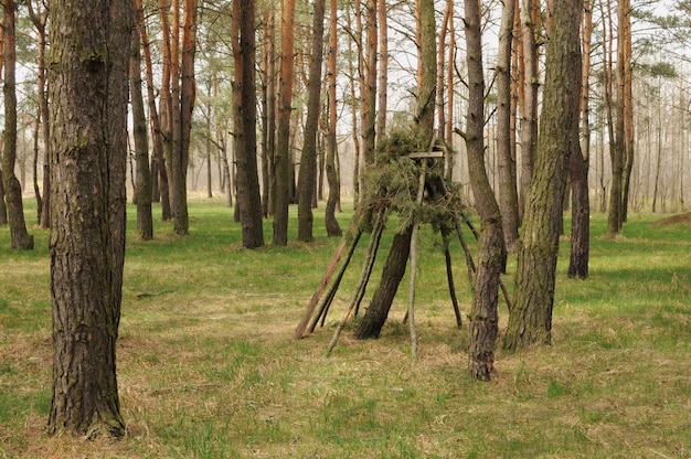 Tente ou maison nouée à la main dans la forêt. Protéger des intempéries. Activité enfants