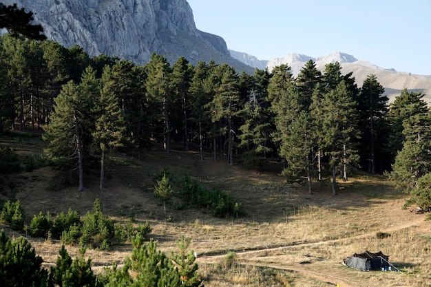 Tente nomade turque et belle nature