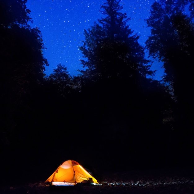 Tente orange illuminée la nuit dans la forêt sous un ciel bleu foncé avec de nombreuses étoiles