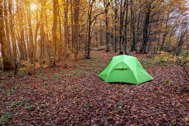 Tente touristique dans la forêt d'automne. Beau paysage