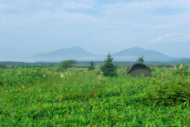 Tente touristique parmi l'herbe dans les rayons du soleil du matin sur l'île de Kunashir avec des volcans en arrière-plan