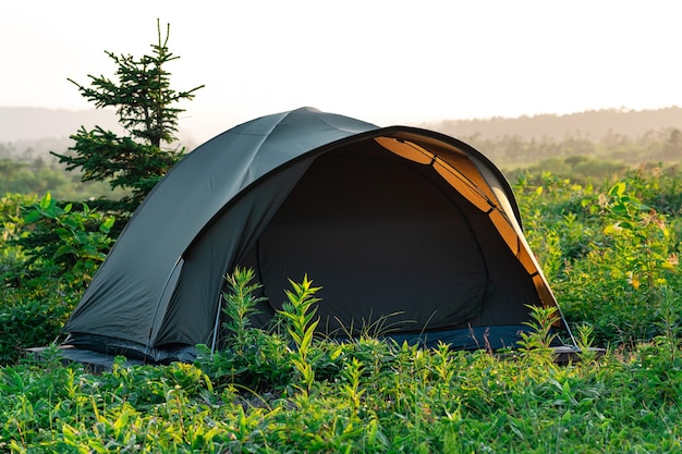 Tente touristique parmi l'herbe dans les rayons du soleil du matin