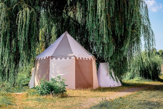 Tente touristique sous un large arbre. Loisirs de plein air