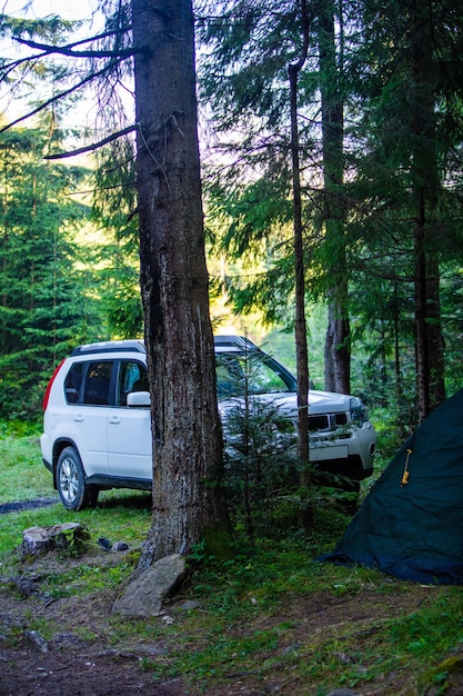 Tente avec voiture suv en forêt